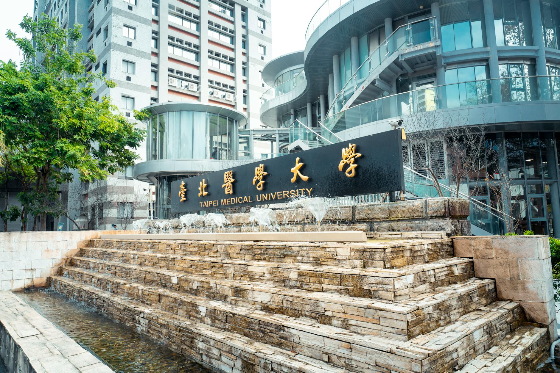 2026年拉筹伯大學完整解析:校區、學制與申請前須知