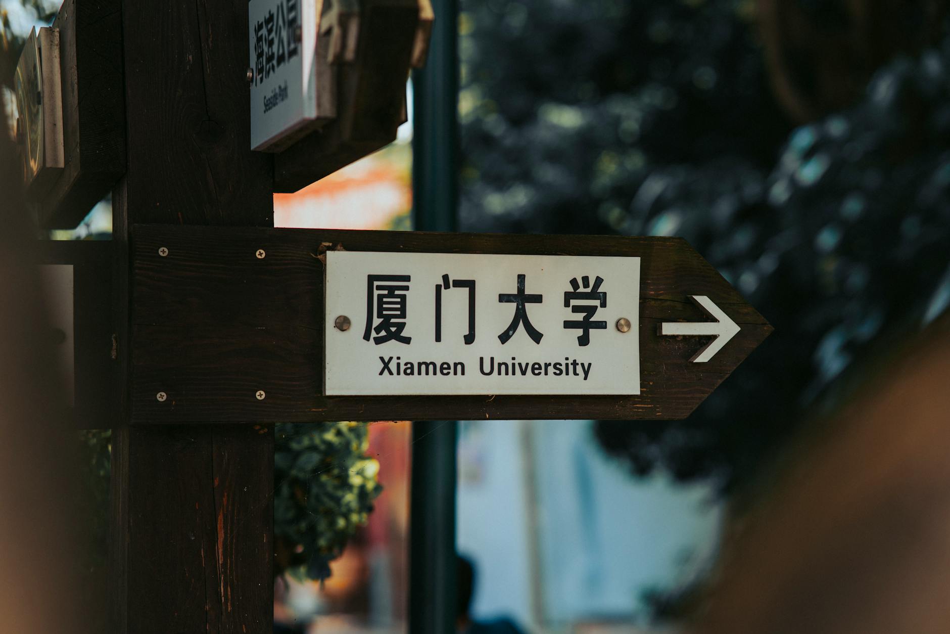 2027年悉尼科技大學完整申請指南：學制、校園環境與畢業發展全解析